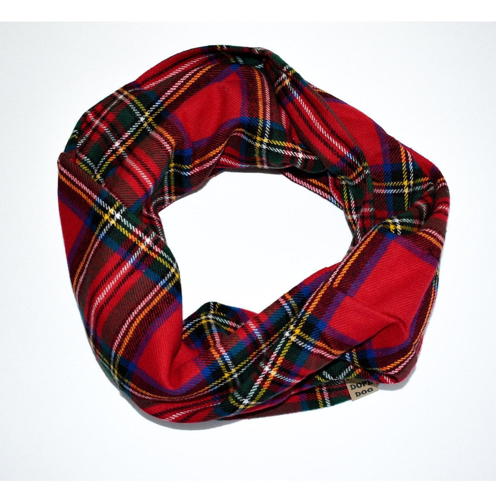 Apple Crumble - Dog Scarf