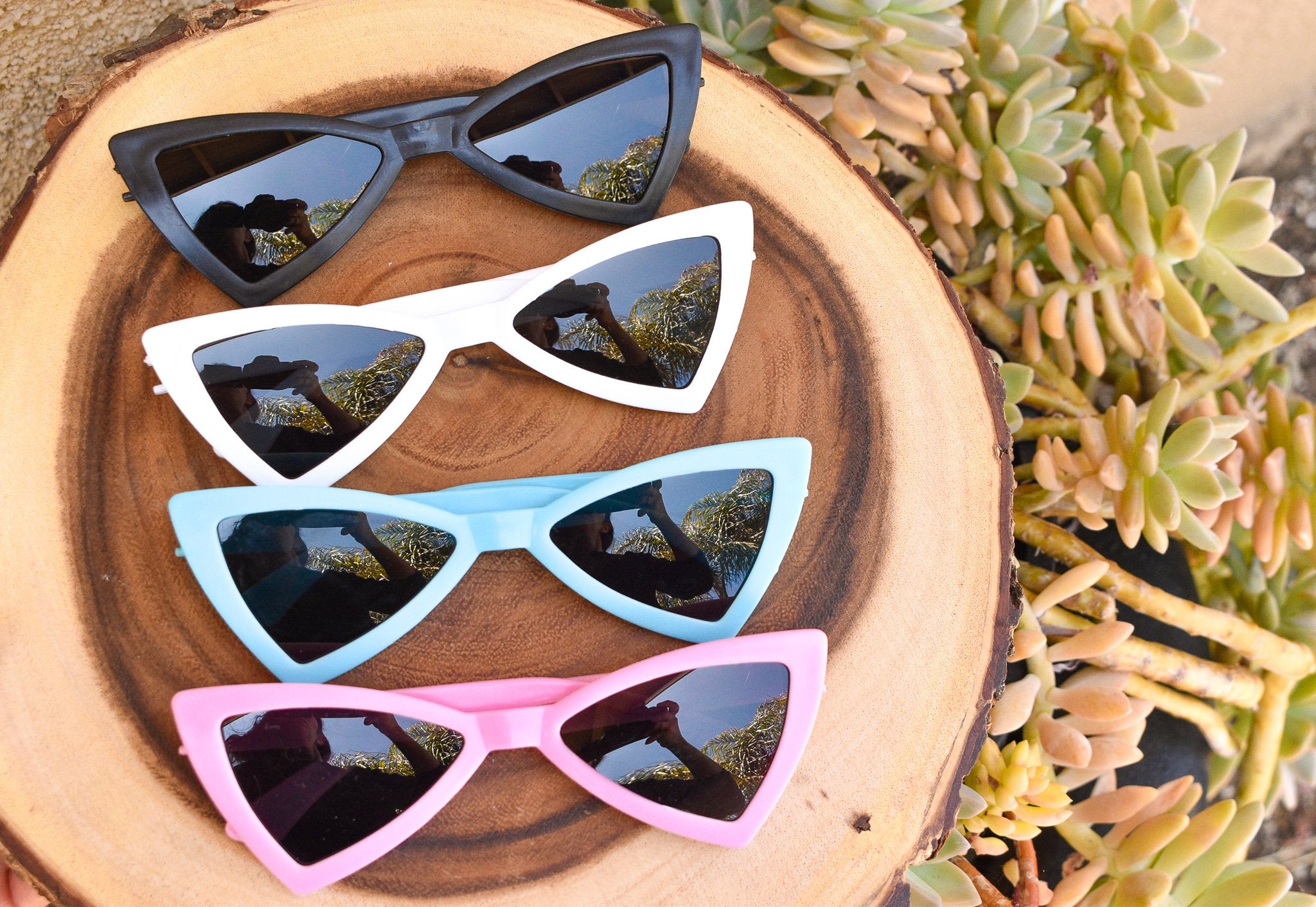 Dog Sunnies