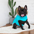 Winter Sailor Parka - Aqua