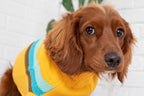 Alpine Sweater - Yellow