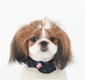 SP Navy Form-Scarf