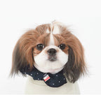 SP Navy Form-Scarf
