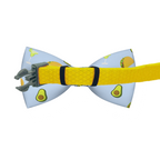 Taco Tuesday Dog Bow Tie
