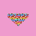 Fabulous Bandana