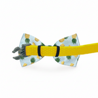 Banana Light Blue Dog Bow Tie