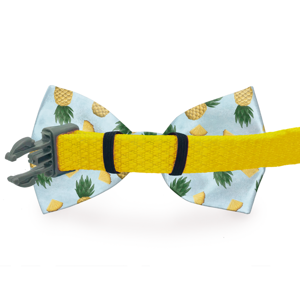 My Tribe Turquoise Dog Bow Tie